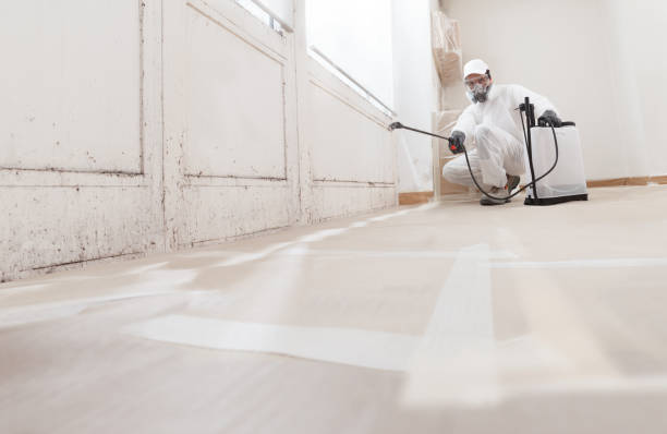 24/7 Emergency Black Mold Remediation experts in Rocky Ridge, MD